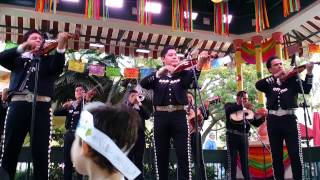 Mariachi Espectacular Las Bodas de Luis Alonso [upl. by Ydnes]