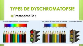 BIOPHYSIQUE Les Dyschromatopsies [upl. by Malkah]