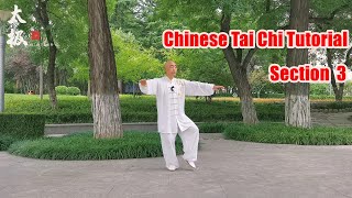 Demonstration and explanation by professional Chinese Tai Chi instructorsTaichi teaching [upl. by Ielak]