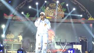 Fille live performance at Afropalooza Festival UG60 [upl. by Garfinkel641]