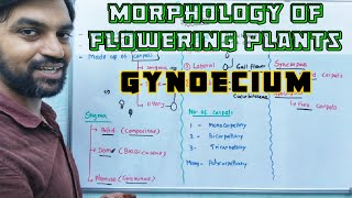 Gynoecium  Morphology of Flowering Plants [upl. by Erdnassac]