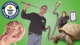 Largest Reptile Zoo  Guinness World Records [upl. by Warenne955]