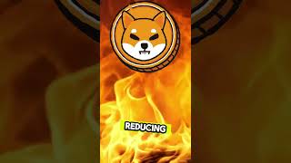 Shiba Inu Price Prediction 2025 shorts ytshorts short youtubeshort [upl. by Tannenwald711]