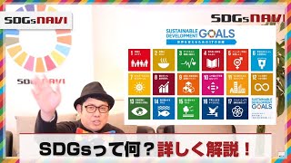 SDGsとは？17の目標って何？？詳しく解説しちゃいます。 [upl. by Leonardo14]