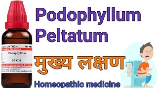 Podophyllum Peltatum 30200 homeopathic medicine symptoms amp uses in hindi [upl. by Atibat]