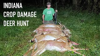 6 deer in 2 hours 2023 Depredation Hunt [upl. by Roxi]