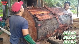 Amazing sawmill woodkayu meranti besar [upl. by Notsgnik]