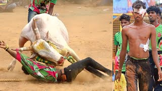 Sivaganga Vadamadu Manjuvirattu 2023 Videos  சிவகங்கை வடமாடு மஞ்சுவிரட்டு 2023 Videos [upl. by Bandeen613]