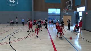 North High Redhawk Tri County Basketball Tournament Highlights Short [upl. by Packer]