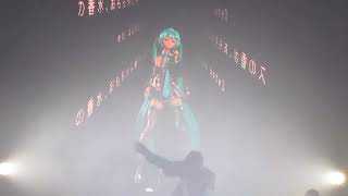 SARAMALACARA ft HATSUNE MIKU  10percs  LIVE COMPLEJO C ART MEDIA [upl. by Gittel902]