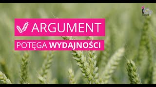 🌱 Pszenica ozima ARGUMENT [upl. by Fatima]