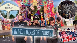 Blvd Tigres del Norte En Mocorito Pueblo Magico SINALOA  Vlog Con Los Torres [upl. by Anrim]