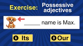 Exercise Possessive adjectives [upl. by Jocelyn]