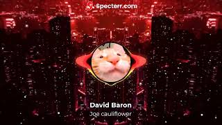 David Baron  Joe Cauliflower Visualizer [upl. by Hamilah]