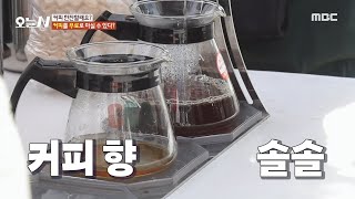 오늘 N 경기도 세계 커피콩 축제에서 맛보는 커피 MBC 241031 방송 [upl. by Jeggar]