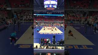 Texas vs Auburn volleyball volleyballfever volleyballmatch [upl. by Paulsen]