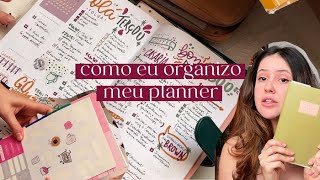 como eu organizo meu PLANNER [upl. by Yesdnyl168]