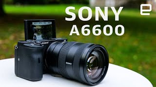 Sony A6600 review A rare misstep [upl. by Paulita]