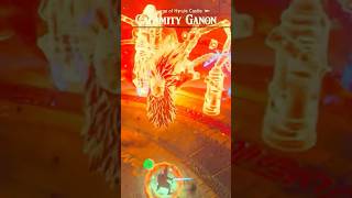 CALAMITY GANON BOSS FIGHT zelda botw nintendo shorts [upl. by Haerle]