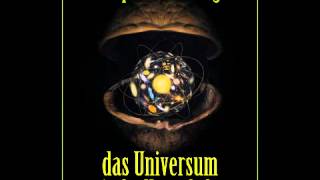 Das Universum in der Nussschale  Hörbuch [upl. by Yorled]