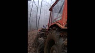 same corsaro 70 vs massey ferguson 135 [upl. by Annaillil30]