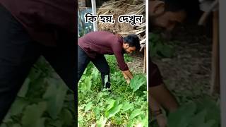 কি হয় দেখুন villagevlog bike journey travelvlog mini [upl. by Ggerg795]