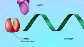 Mechanisms of Action of NonNucleoside Reverse Transcriptase Inhibitors NNRTIs [upl. by Garwood715]