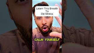 Simple Breathing Hack to Instantly Reduce Stress  Double Inhale Long Exhale Explained [upl. by Markus]