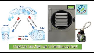 Freeze drying or Lyophilization in depth [upl. by Harutak713]