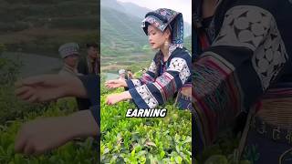 Nepali people are earning millions just by tea leaves 🤯farming shorts short [upl. by Ahsinek677]