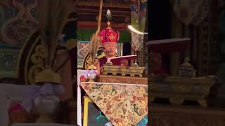 Dzongsar Jamyang Khyentse Rinpoche NTS Vlog 24 [upl. by Krum63]