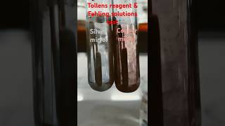 Tollens reagent and Fehling solution test for Aldehyde Functional group analysis class12chemistry [upl. by Molton520]