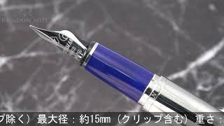 WATERMAN ウォーターマン 万年筆 丸善限定 レタロン リュネール F [upl. by Ainimreh]