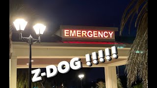 SNOWBALL N ZDOG GOES TO THE HOSPITAL [upl. by Rehm]