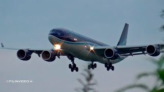 Вот так надо сажать самолеты Редкий Airbus A340500 AZAL VKO [upl. by Alrak]