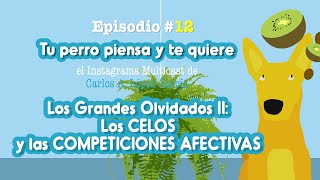 CELOS y COMPETICIONES AFECTIVAS en perros 😖  episodio 12 [upl. by Sansen]