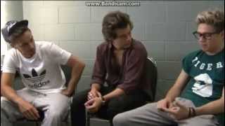 One Direction New Interview 2013 [upl. by Cesare]