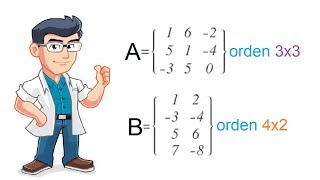 MATRIZ ORDEN DE UNA MATRIZ Y REPRESENTACIÓN  Ejercicios Resueltos [upl. by Adnoraj]