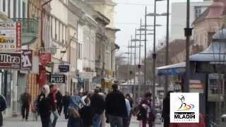 ZRENJANIN  CENTAR SUBOTOM [upl. by Inttirb]