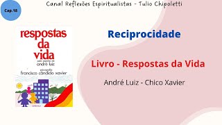 Respostas da Vida  Reciprocidade [upl. by Mowbray122]