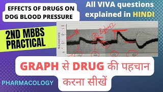 effect of drugs on dog blood pressure experimental pharmacology practical mbbs pharmacology [upl. by Zerk884]