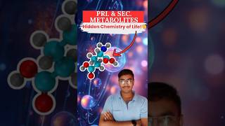 PRIMARY vs SECONDARY METABOLITES The Hidden Chemistry of Life🤫  Biology NEET  Class 11th [upl. by Jacobson]