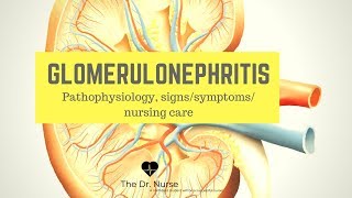 Glomerulonephritis Patho Signssymptoms nursing care [upl. by Harrat]