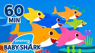 Baby Shark Doo Doo Doo 1 hour  Compilation  Songs for Kids  Baby Shark Official [upl. by Groveman]