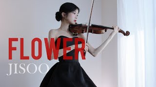 JISOO  꽃FLOWER  Violin Cover [upl. by Pelaga]