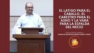 El Látigo Para El Caballo El Cabestro Para El Asno Y La Vara Para La Espalda Del Necio [upl. by Ennovyhc]