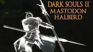 Dark Souls 2 Mastodon Halberd Tutorial dual wielding w power stance [upl. by Nileek]