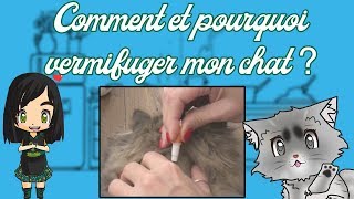 COMMENT VERMIFUGER SON CHAT [upl. by Ahsilak]