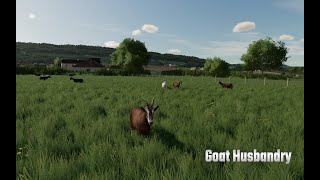 Goat husbandry Farming Simulator 22 [upl. by Lsil]