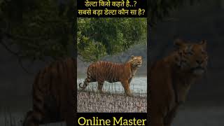 World Biggest Delta  What Is Delta  विश्व का सबसे बड़ा डेल्टा shorts onlinemaster [upl. by Aicenaj988]